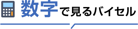 数字で見るバイセル